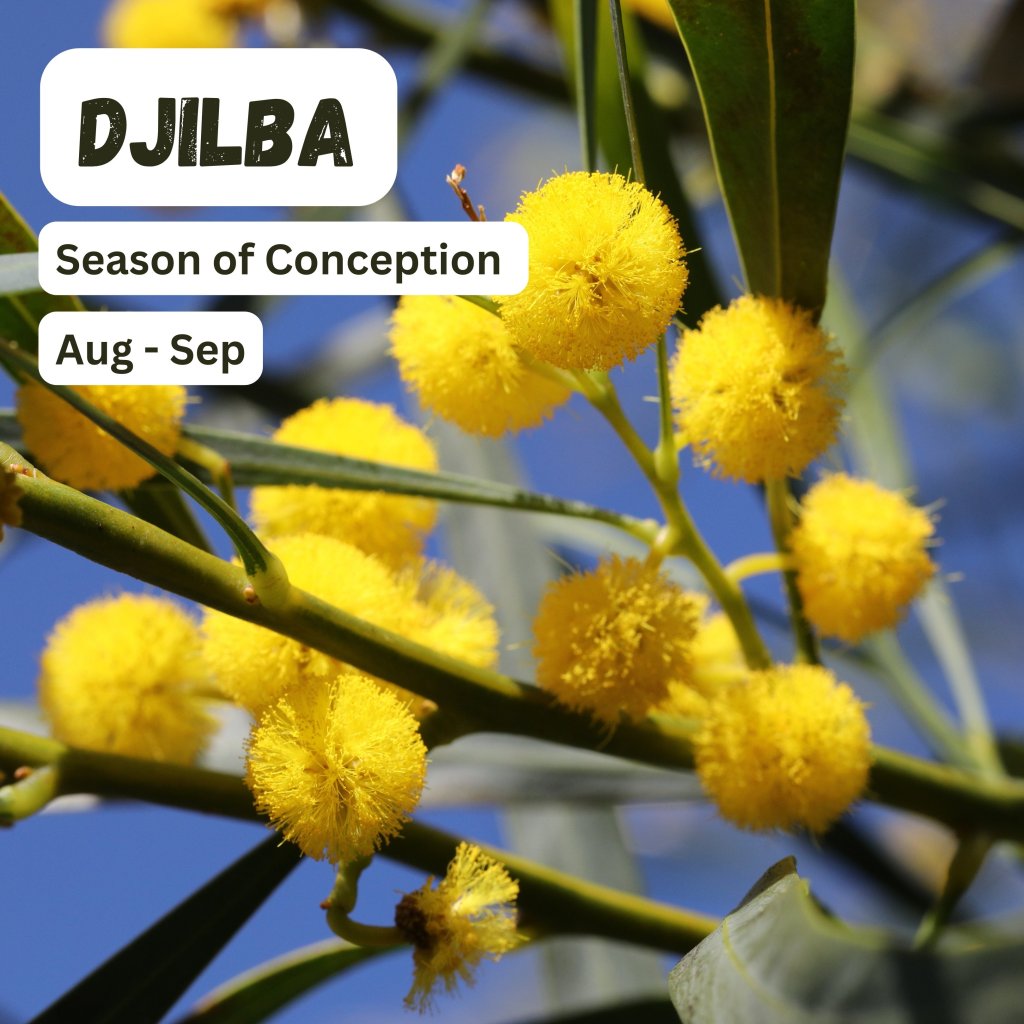 Blog Prompt (WordPress) – Djilba (Aug –&nbsp;Sept)